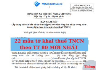 tờ khai thuế thu nhập cá nhân mới nhất