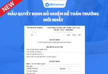 Mẫu quyết định bổ nhiệm kế toán trưởng