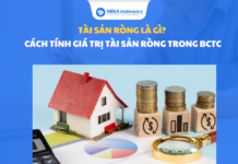 tài sản ròng là gì