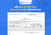 Mẫu báo cáo tình hình sử dụng lao động 2026 CHI TIẾT mẫu báo cáo tình hình sử dụng lao động 2025