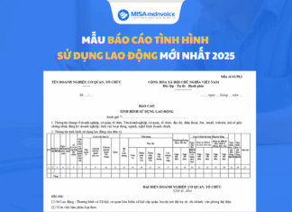 Hướng dẫn nộp báo cáo tình hình sử dụng lao động online & trực tiếp mẫu báo cáo tình hình sử dụng lao động 2025